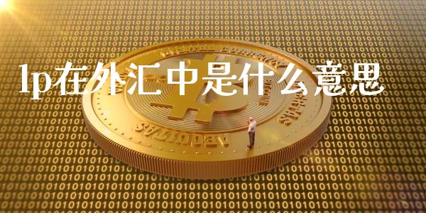 lp在外汇中是什么意思_https://wap.hpmsj.cn_基金分析_第1张
