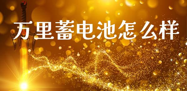万里蓄电池怎么样_https://wap.hpmsj.cn_财经时评_第1张