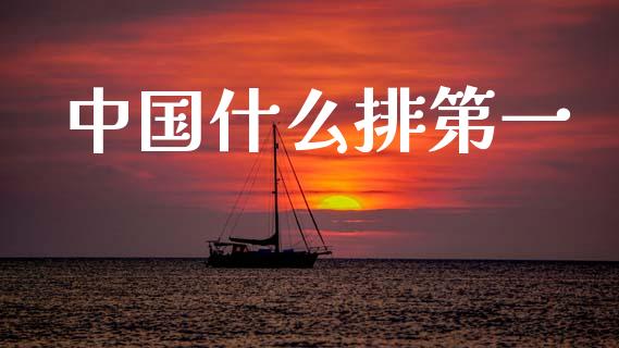 中国什么排第一_https://wap.hpmsj.cn_外汇汇率_第1张