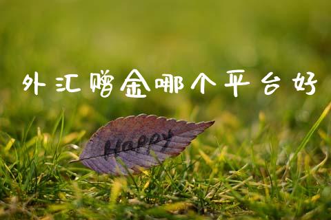 外汇赠金哪个平台好_https://wap.hpmsj.cn_金融机构_第1张