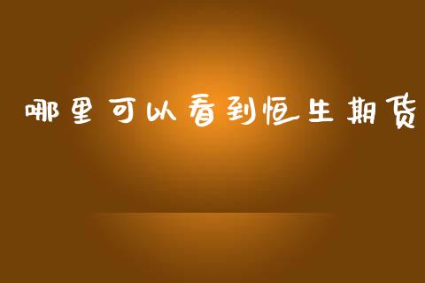 哪里可以看到恒生期货_https://wap.hpmsj.cn_债券投资_第1张