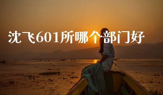 沈飞601所哪个部门好_https://wap.hpmsj.cn_金融机构_第1张