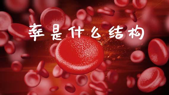 率是什么结构_https://wap.hpmsj.cn_财经时评_第1张
