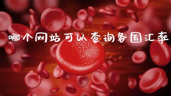 哪个网站可以查询各国汇率_https://wap.hpmsj.cn_期货交易_第1张