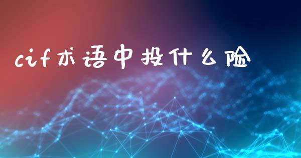 cif术语中投什么险_https://wap.hpmsj.cn_财经时评_第1张