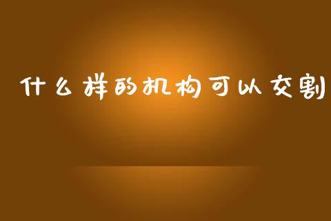 什么样的机构可以交割_https://wap.hpmsj.cn_外汇汇率_第1张