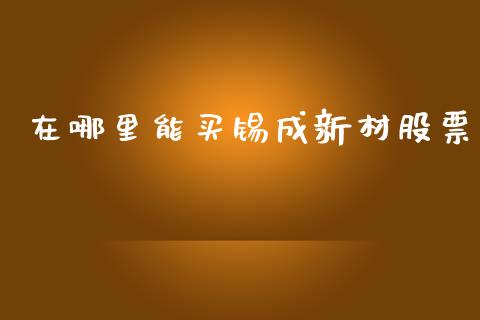 在哪里能买锡成新材股票_https://wap.hpmsj.cn_债券投资_第1张