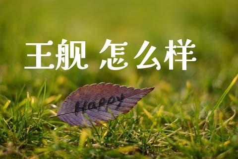 王舰 怎么样_https://wap.hpmsj.cn_债券投资_第1张