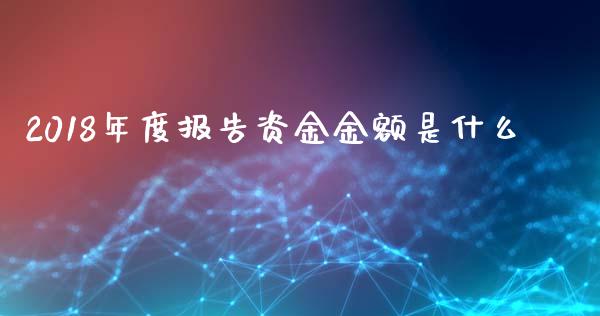 2018年度报告资金金额是什么_https://wap.hpmsj.cn_外汇汇率_第1张
