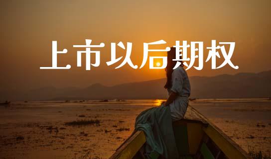 上市以后期权_https://wap.hpmsj.cn_基金分析_第1张