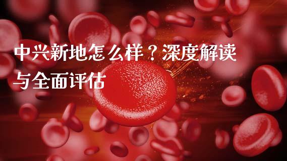 中兴新地怎么样？深度解读与全面评估_https://wap.hpmsj.cn_财经时评_第1张