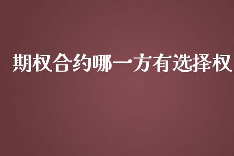 期权合约哪一方有选择权_https://wap.hpmsj.cn_金融机构_第1张