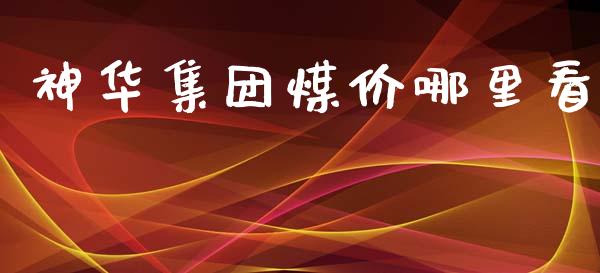 神华集团煤价哪里看_https://wap.hpmsj.cn_财经时评_第1张