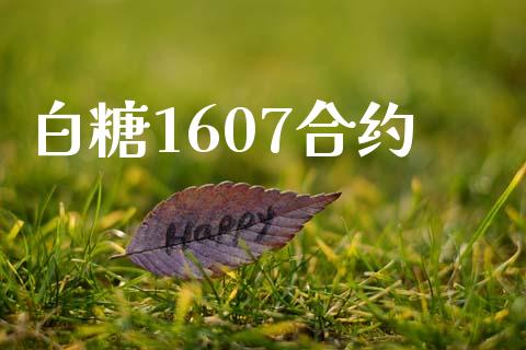 白糖1607合约_https://wap.hpmsj.cn_金融机构_第1张