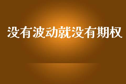 没有波动就没有期权_https://wap.hpmsj.cn_债券投资_第1张