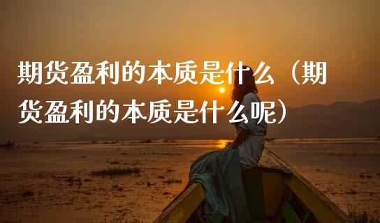 期货盈利的本质是什么（期货盈利的本质是什么呢）_https://wap.hpmsj.cn_债券投资_第1张