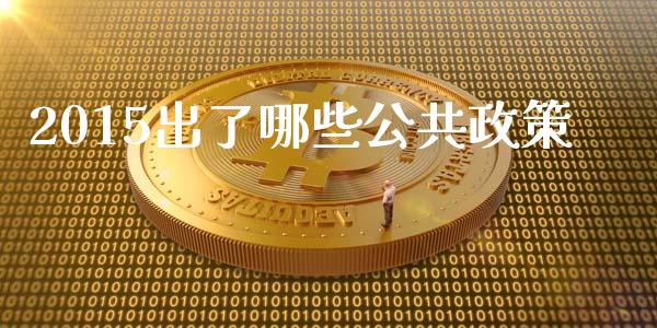 2015出了哪些公共政策_https://wap.hpmsj.cn_金融机构_第1张