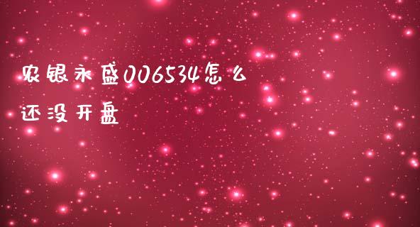 农银永盛006534怎么还没开盘_https://wap.hpmsj.cn_债券投资_第1张