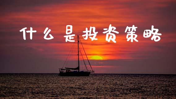 什么是投资策略_https://wap.hpmsj.cn_债券投资_第1张