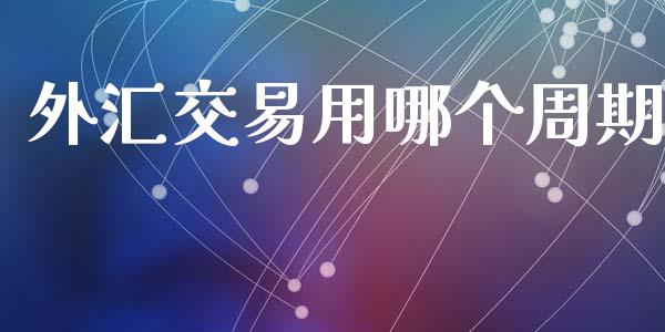 外汇交易用哪个周期_https://wap.hpmsj.cn_外汇汇率_第1张