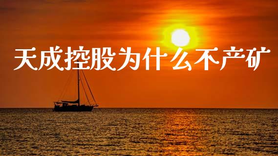 天成控股为什么不产矿_https://wap.hpmsj.cn_债券投资_第1张