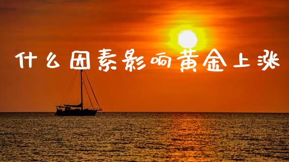 什么因素影响黄金上涨_https://wap.hpmsj.cn_债券投资_第1张