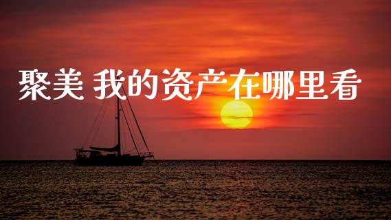 聚美 我的资产在哪里看_https://wap.hpmsj.cn_期货交易_第1张