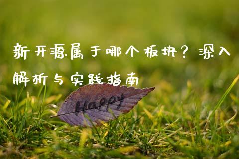 新开源属于哪个板块？深入解析与实践指南_https://wap.hpmsj.cn_金融机构_第1张