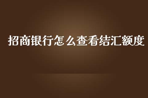 招商银行怎么查看结汇额度_https://wap.hpmsj.cn_金融机构_第1张
