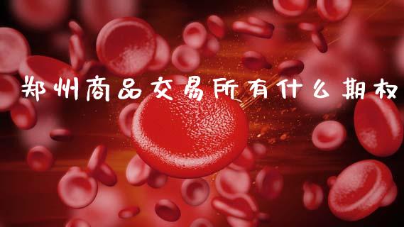 郑州商品交易所有什么期权_https://wap.hpmsj.cn_债券投资_第1张