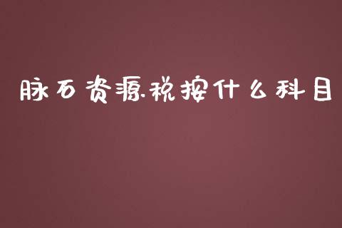 脉石资源税按什么科目_https://wap.hpmsj.cn_外汇汇率_第1张