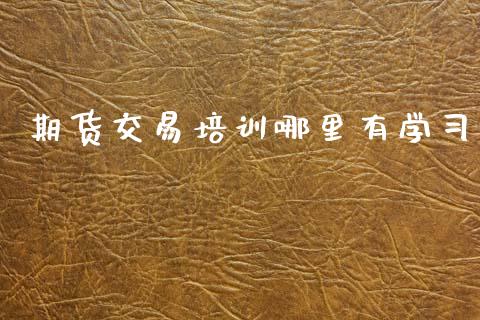 期货交易培训哪里有学习_https://wap.hpmsj.cn_财经时评_第1张