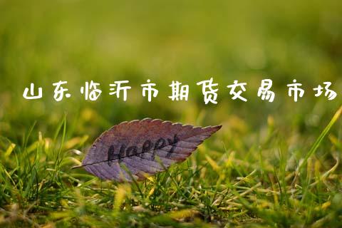 山东临沂市期货交易市场_https://wap.hpmsj.cn_财经时评_第1张