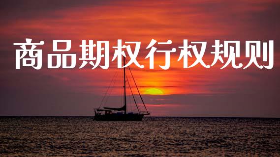 商品期权行权规则_https://wap.hpmsj.cn_财经时评_第1张