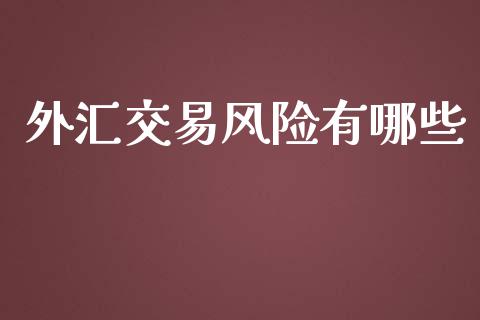 外汇交易风险有哪些_https://wap.hpmsj.cn_期货交易_第1张