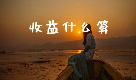 收益什么算_https://wap.hpmsj.cn_财经时评_第1张