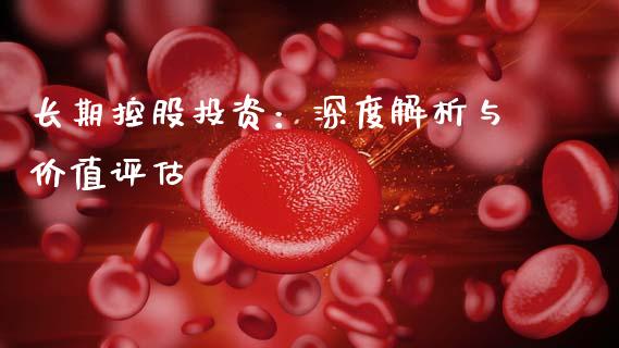 长期控股投资：深度解析与价值评估_https://wap.hpmsj.cn_财经时评_第1张