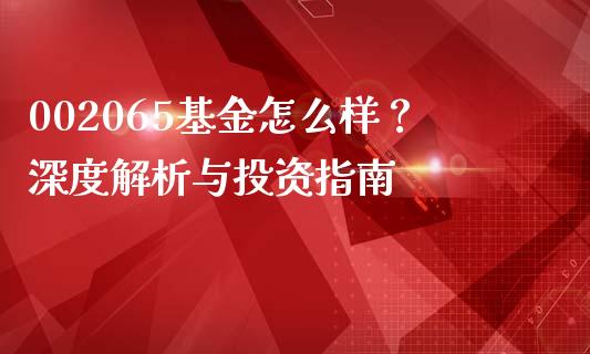 002065基金怎么样？深度解析与投资指南_https://wap.hpmsj.cn_金融机构_第1张