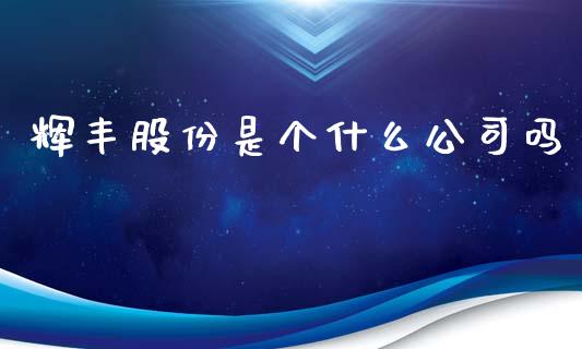 辉丰股份是个什么公司吗_https://wap.hpmsj.cn_基金分析_第1张