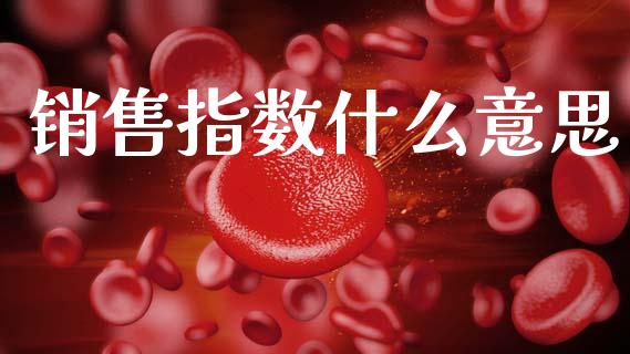 销售指数什么意思_https://wap.hpmsj.cn_债券投资_第1张