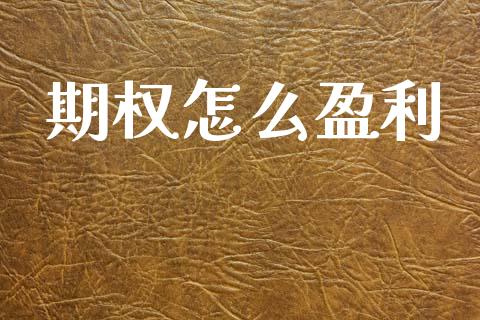 期权怎么盈利_https://wap.hpmsj.cn_债券投资_第1张