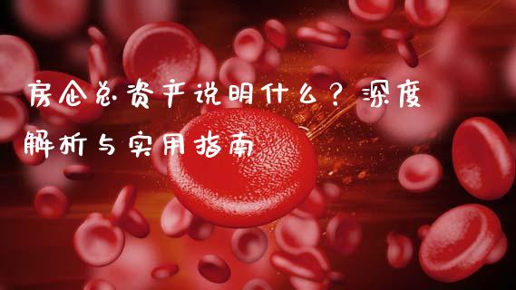 房企总资产说明什么？深度解析与实用指南_https://wap.hpmsj.cn_金融机构_第1张