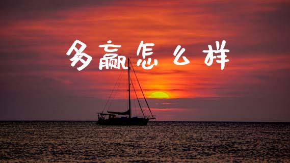多赢怎么样_https://wap.hpmsj.cn_基金分析_第1张