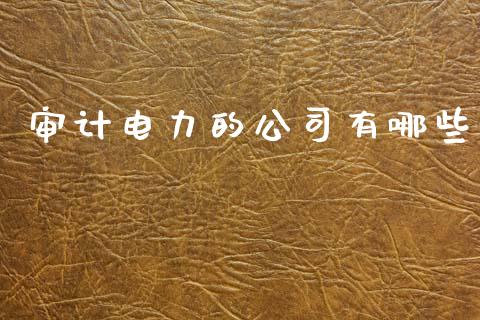 审计电力的公司有哪些_https://wap.hpmsj.cn_金融机构_第1张
