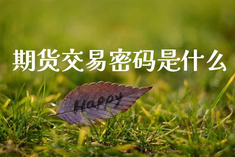 期货交易密码是什么_https://wap.hpmsj.cn_外汇汇率_第1张