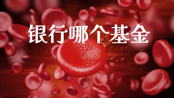 银行哪个基金_https://wap.hpmsj.cn_外汇汇率_第1张