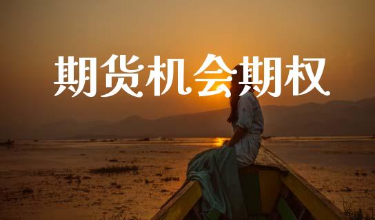 期货机会期权_https://wap.hpmsj.cn_基金分析_第1张