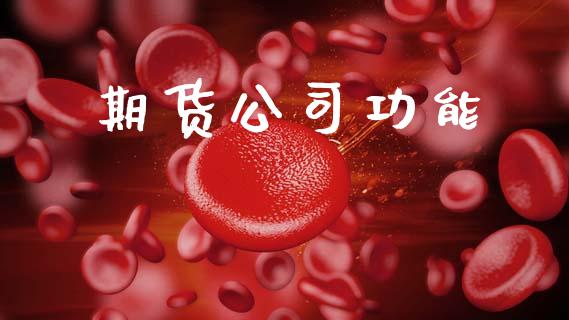 期货公司功能_https://wap.hpmsj.cn_财经时评_第1张