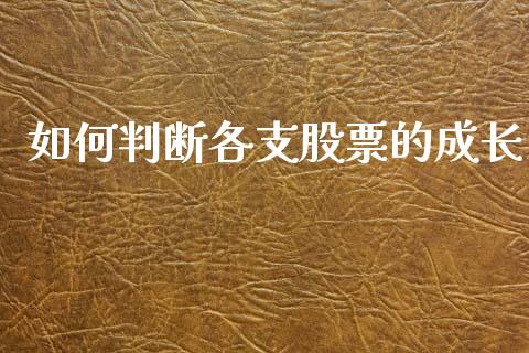 如何判断各支股票的成长_https://wap.hpmsj.cn_期货交易_第1张