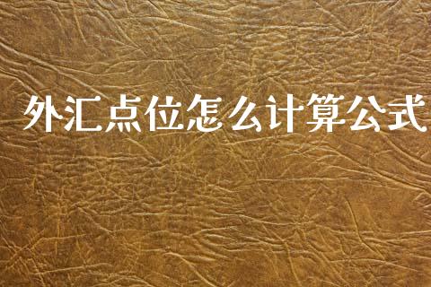 外汇点位怎么计算公式_https://wap.hpmsj.cn_外汇汇率_第1张